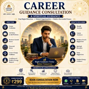 Career guidance consultation banner featuring astrology guidance, business growth support, kundli analysis, spiritual remedies, vastu suggestions, and positive energy consultation.